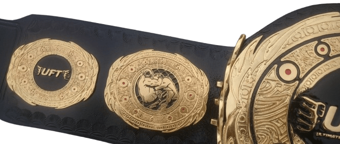 Custom-made MMA Championship Title Belt - Image 3