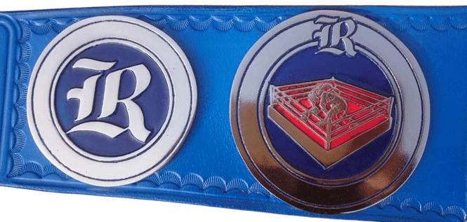 Premium Quality Silver/ Nickel Plated Wrestling Championship Title Belt - Image 6