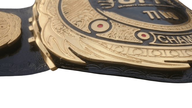 Custom-made MMA Championship Title Belt - Image 5