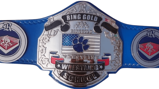 Premium Quality Silver/ Nickel Plated Wrestling Championship Title Belt - Image 8