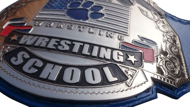 Premium Quality Silver/ Nickel Plated Wrestling Championship Title Belt - Image 7